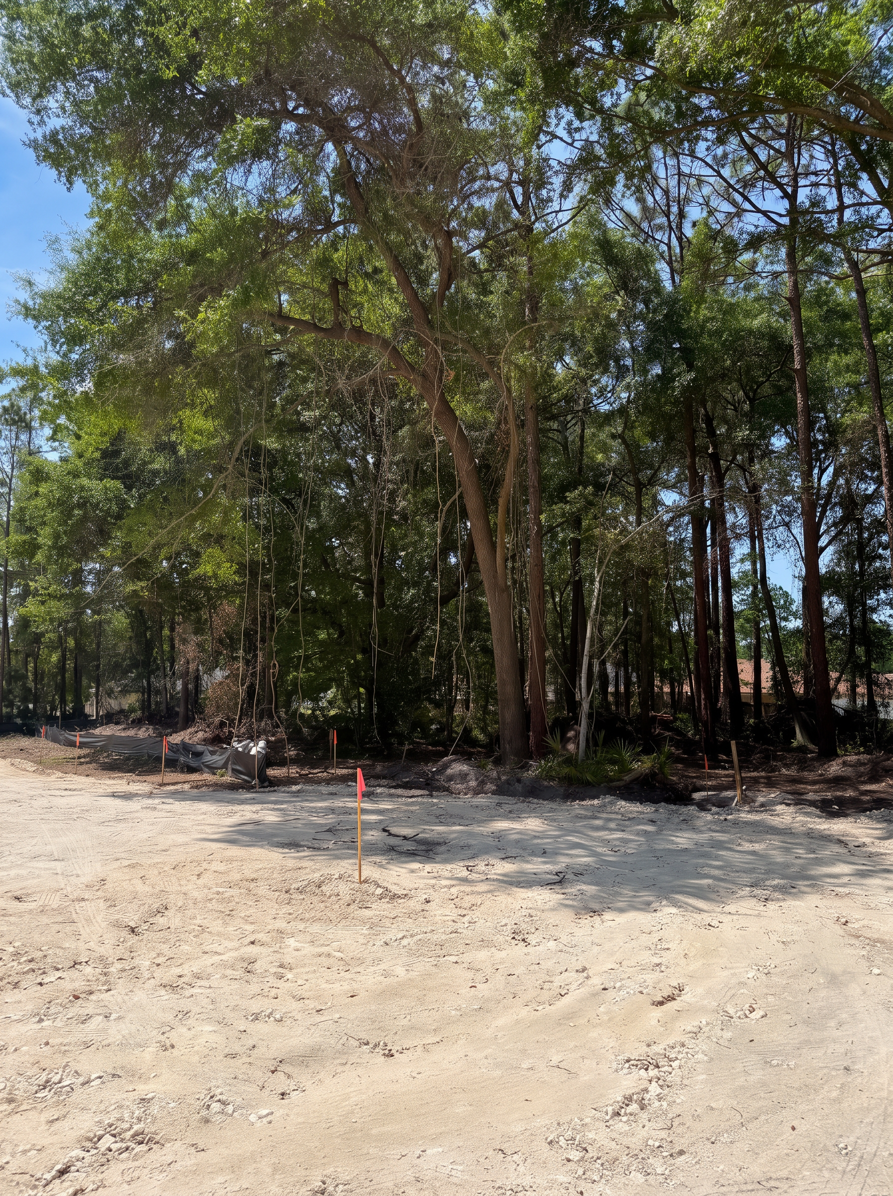 Full Land Clearing in Jacksonville, FL by Champs Outdoor Services — Before